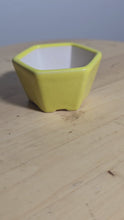 Load and play video in Gallery viewer, 3 Inch Hexagonal Bonsai Pot