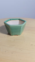 Load and play video in Gallery viewer, 3 Inch Hexagonal Bonsai Pot