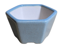 Load image into Gallery viewer, 3 Inch Hexagonal Bonsai Pot - Aven's Serenity Garden