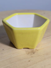 Load image into Gallery viewer, 3 Inch Hexagonal Bonsai Pot - Aven's Serenity Garden
