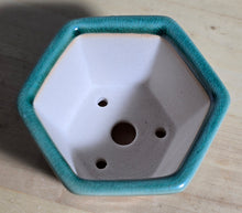 Load image into Gallery viewer, 3 Inch Hexagonal Bonsai Pot - Aven's Serenity Garden