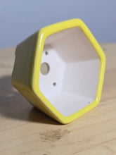 Load image into Gallery viewer, 3 Inch Hexagonal Bonsai Pot - Aven's Serenity Garden