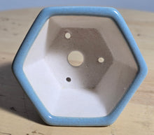 Load image into Gallery viewer, 3 Inch Hexagonal Bonsai Pot - Aven's Serenity Garden