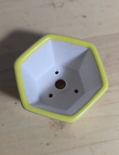 Load image into Gallery viewer, 3 Inch Hexagonal Bonsai Pot - Aven's Serenity Garden