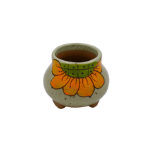 Load image into Gallery viewer, Green Ceramic Bulb Shito Bonsai Pot - Aven's Serenity Garden