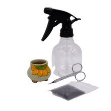 Load image into Gallery viewer, Green Ceramic Bulb Shito Bonsai Pot - Aven's Serenity Garden