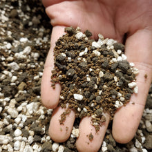Load image into Gallery viewer, Aven's Soil Mix | Premium Bonsai Ingredient Mix - Aven's Serenity Garden