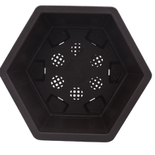 Load image into Gallery viewer, 7" Hexagonal Plastic Bonsai Pot - Aven's Serenity Garden