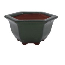 Load image into Gallery viewer, Chinese Hexagonal Bonsai Pot - Aven's Serenity Garden