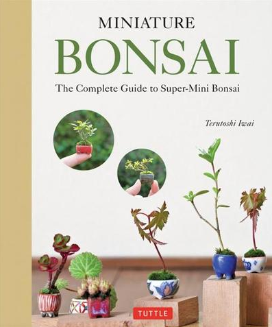 Miniature Bonsai By Terutoshi Iwai - Aven's Serenity Garden