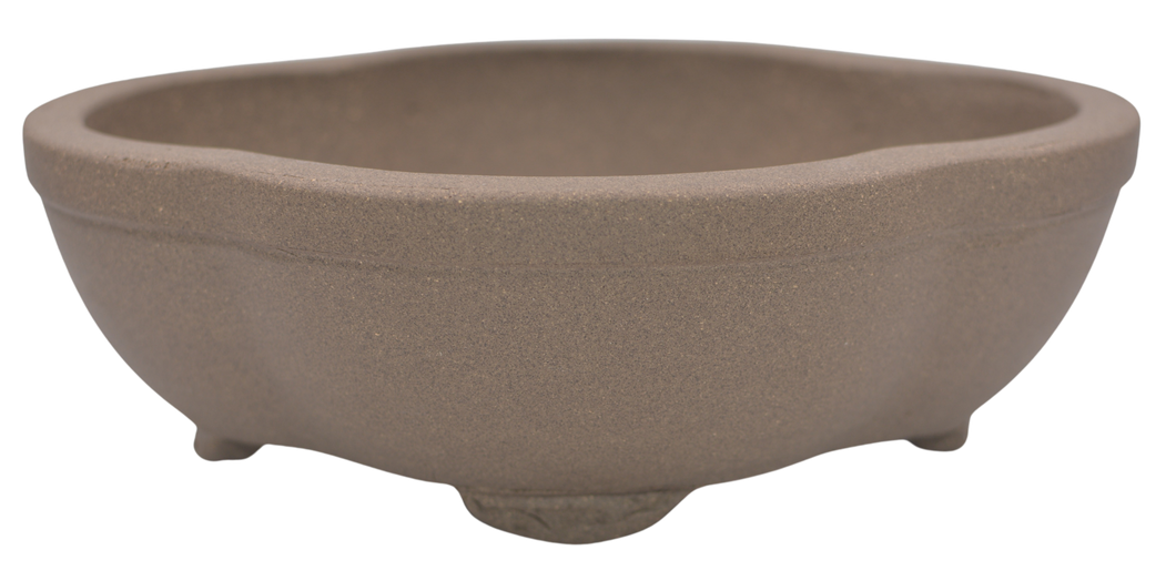 Chinese Bonsai Pot | Lotus Style, Semi-Cascade | 8in Ceramic Bonsai Vessel - Aven's Serenity Garden