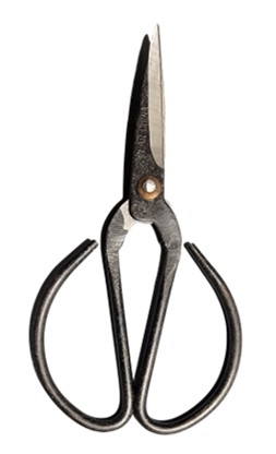 Bonsai Utility Shears | 6