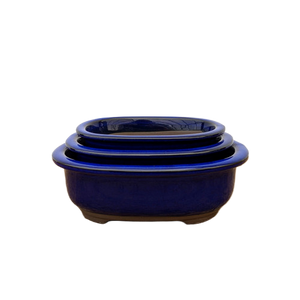 Oval, Deep-Blue Glazed Ceramic Bonsai Pot | Japanese Bonsai Vessel - Aven's Serenity Garden