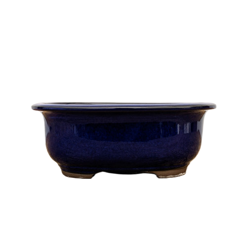 Oval, Deep-Blue Glazed Ceramic Bonsai Pot | Japanese Bonsai Vessel - Aven's Serenity Garden