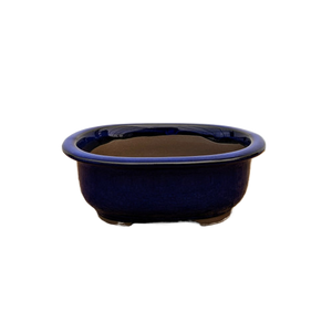 Oval, Deep-Blue Glazed Ceramic Bonsai Pot | Japanese Bonsai Vessel - Aven's Serenity Garden