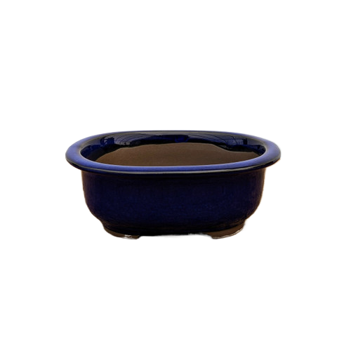 Oval, Deep-Blue Glazed Ceramic Bonsai Pot | Japanese Bonsai Vessel - Aven's Serenity Garden