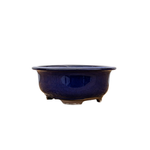 Oval, Deep-Blue Glazed Ceramic Bonsai Pot | Japanese Bonsai Vessel - Aven's Serenity Garden