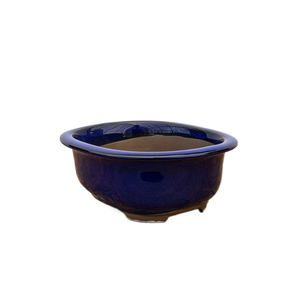 Oval, Deep-Blue Glazed Ceramic Bonsai Pot | Japanese Bonsai Vessel - Aven's Serenity Garden