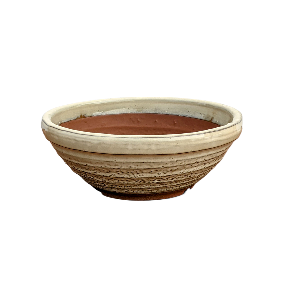 Round Tokoname Bonsai Pot |  8 Inch Japanese Ceramic Pot - Aven's Serenity Garden