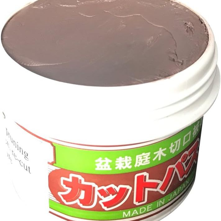 Deciduous Bonsai Cut Putty | Wound Sealant for Bonsai | 160g Jar of Protective Putty - Aven's Serenity Garden