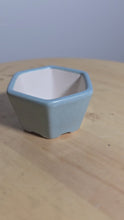 Load and play video in Gallery viewer, 3 Inch Hexagonal Bonsai Pot
