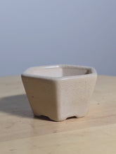 Load and play video in Gallery viewer, 3 Inch Hexagonal Bonsai Pot
