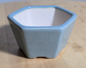 3 Inch Hexagonal Bonsai Pot - Aven's Serenity Garden