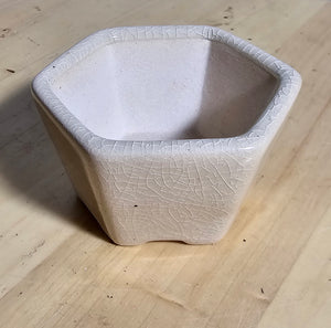 3 Inch Hexagonal Bonsai Pot - Aven's Serenity Garden