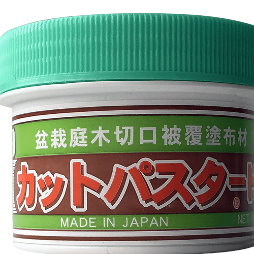 Conifer Bonsai Cut Putty 160g Jar - Aven's Serenity Garden
