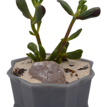 Load image into Gallery viewer, Octagonal Resin Pot | 3D Printed Bonsia Pot | Mame Sized Bonsai Pot - Aven&#39;s Serenity Garden
