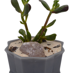 Octagonal Resin Pot | 3D Printed Bonsia Pot | Mame Sized Bonsai Pot - Aven's Serenity Garden