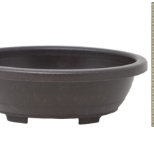 Load image into Gallery viewer, Deep Oval Bonsai Pot | Plastic Training Pot - Aven&#39;s Serenity Garden
