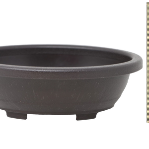 Deep Oval Bonsai Pot | Plastic Training Pot - Aven's Serenity Garden