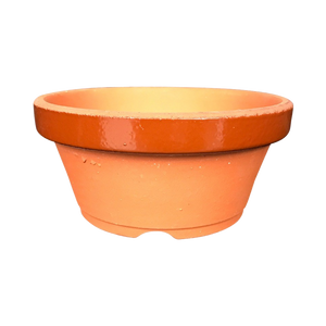 Round Ceramic Tokoname Pot | Bonsai Training Pot - Aven's Serenity Garden