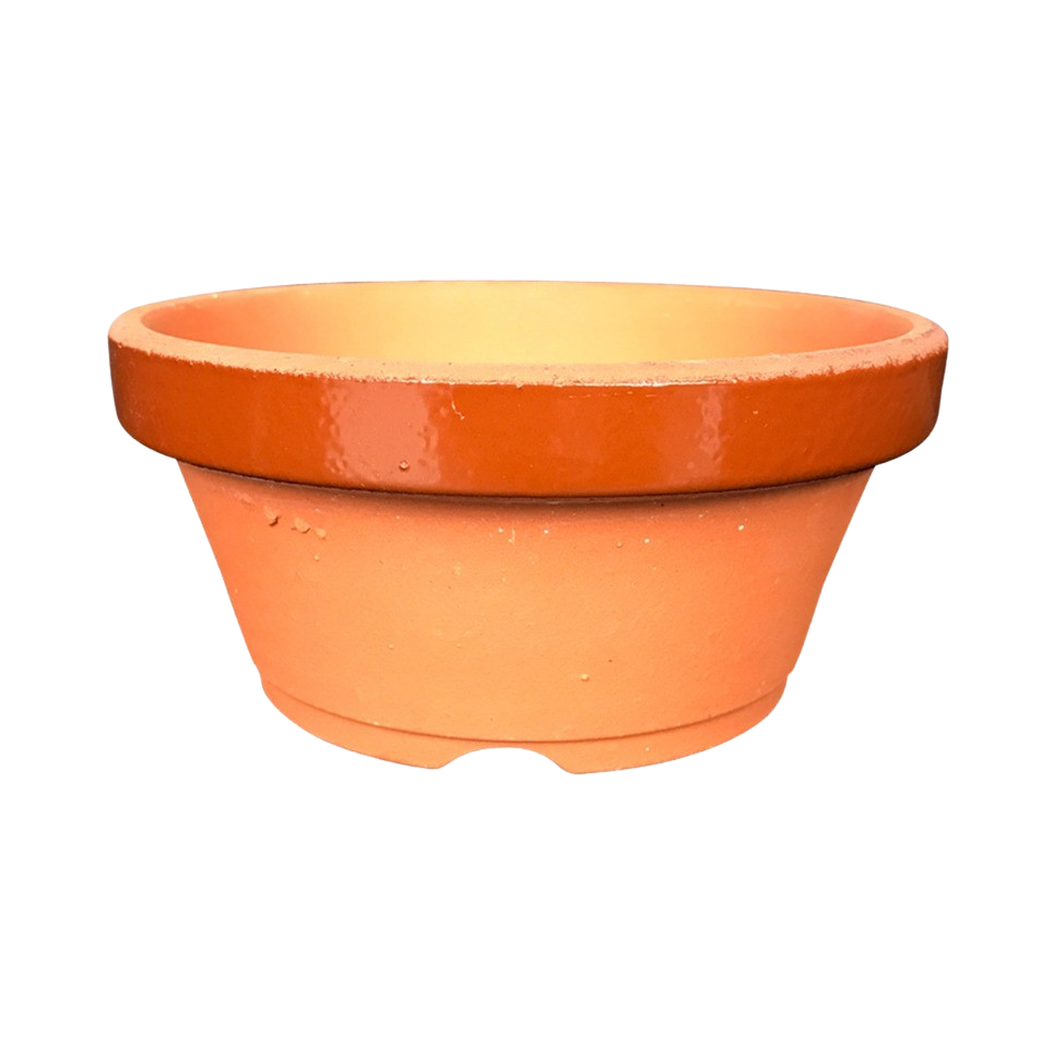 Round Ceramic Tokoname Pot | Bonsai Training Pot - Aven's Serenity Garden