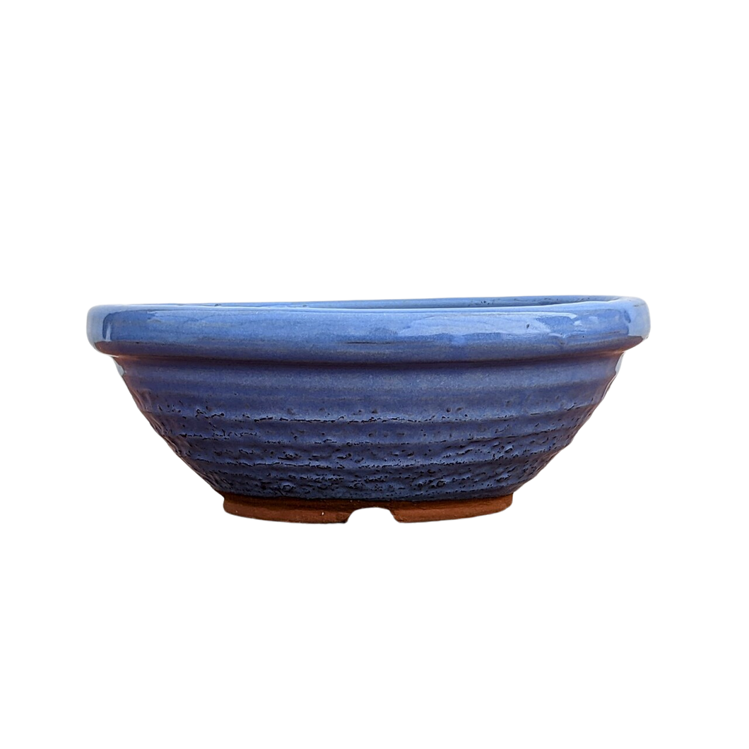 Round Ceramic Bonsai Pots | Japanese Tokoname Pot | 8 inch Diameter - Aven's Serenity Garden