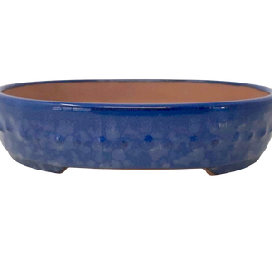 Blue Yixing Bonsai Pot | Glazed Oval Ceraramic Pot - Aven's Serenity Garden